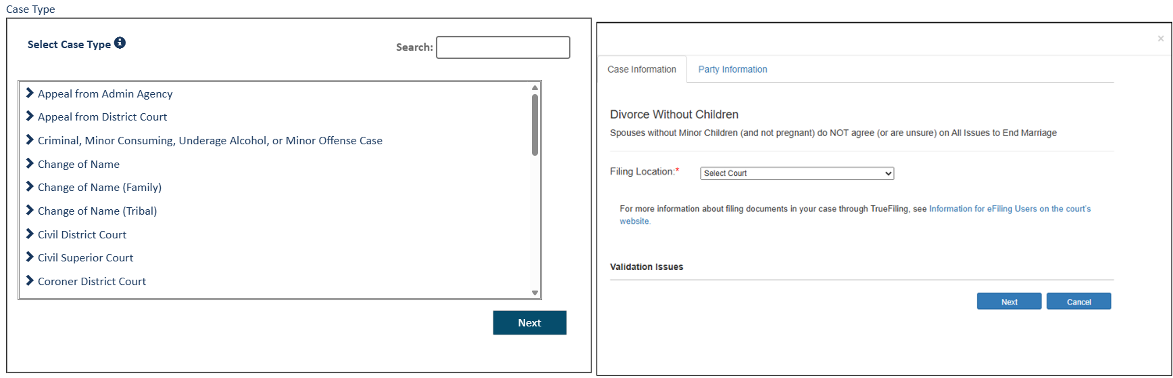 Example of case type and sub-case type